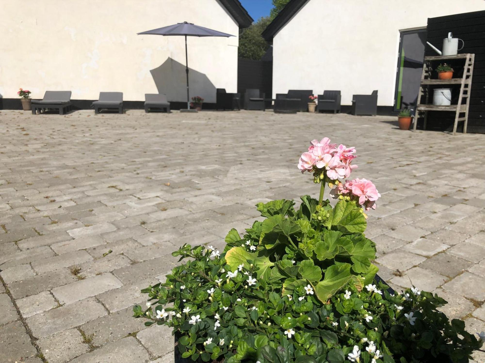 The Barn Guest House Give Ngoại thất bức ảnh